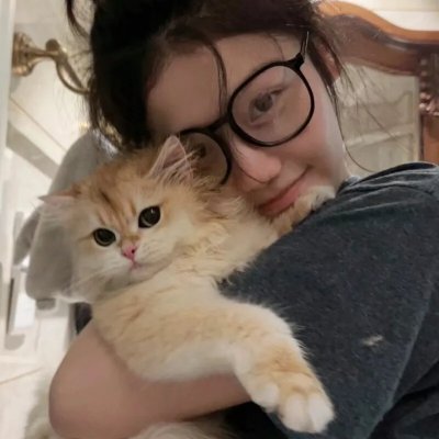 托托的色彩美学观 在线观看